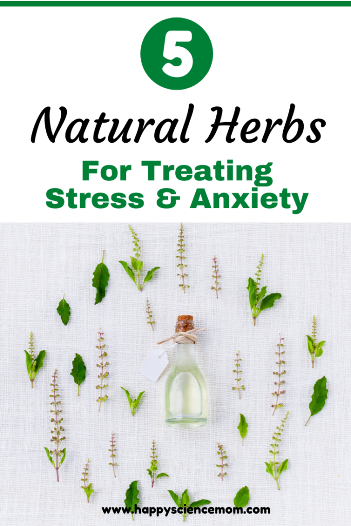 5 Natural Herbs For Treating Stress And Anxiety - Ecohappiness Project