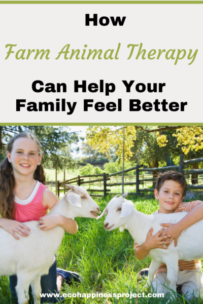 how-farm-animal-therapy-can-help-your-family-feel-better-ecohappiness