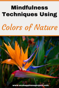 Mindfulness Techniques Using the Colors of Nature - Ecohappiness