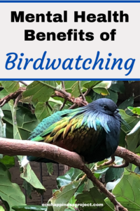 Reflecting on Birds – Nature is my Therapy
